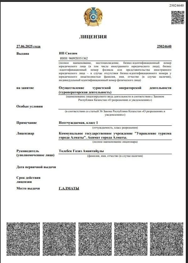 Лицензия туроператора №25024640
